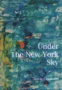 Image of UNDER THE NEW YORK